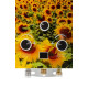 Газова колонка димохідна Sabio 10 л GP-sunflower (JSD20-AG213)